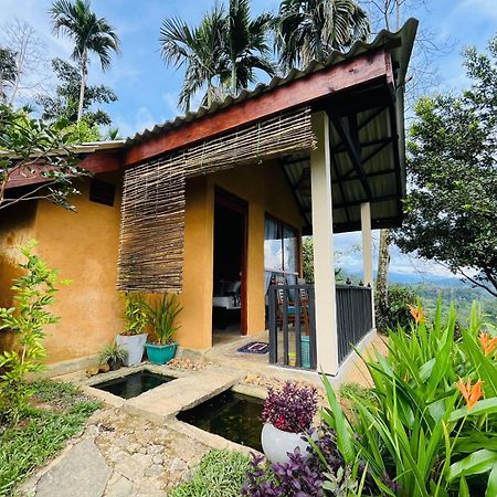 Rainforest Nature House Денияйя Экстерьер фото