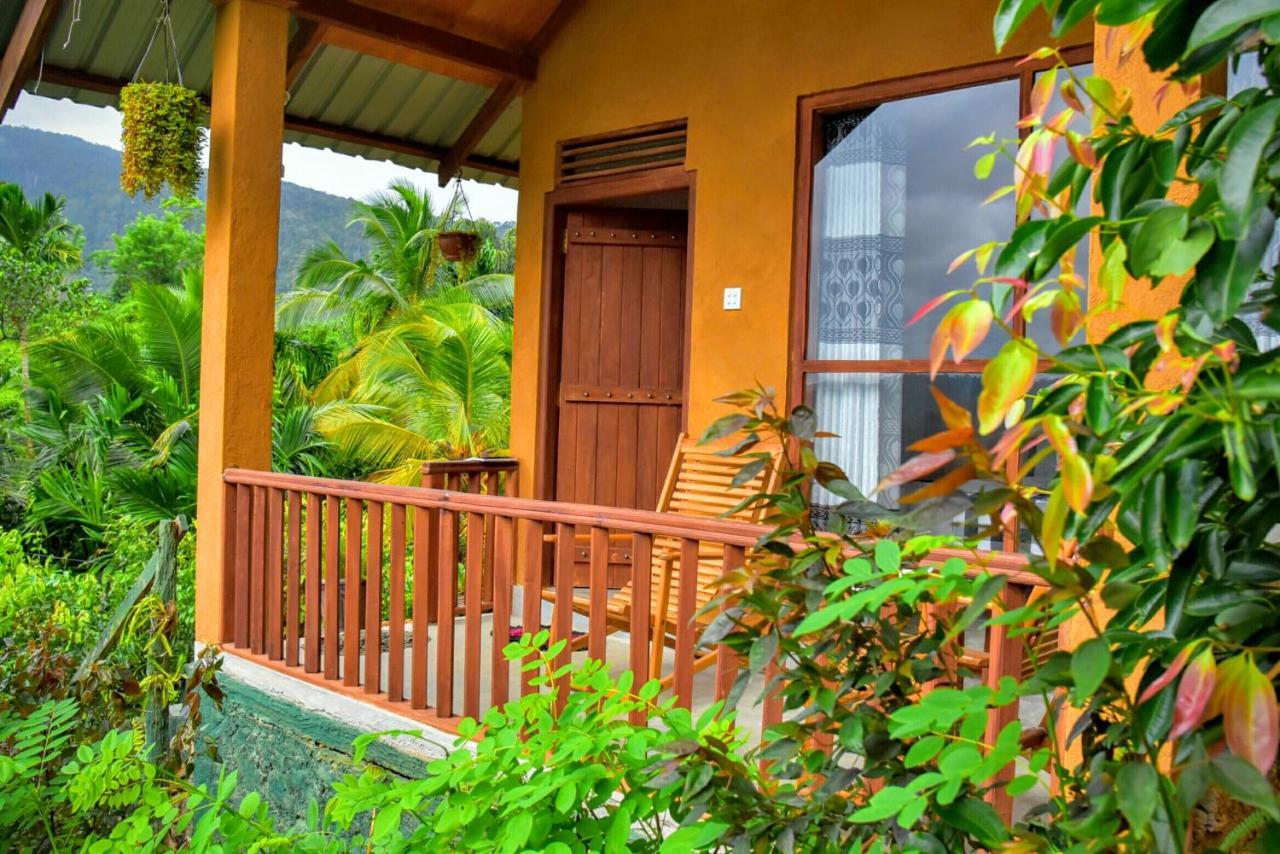 Rainforest Nature House Денияйя Экстерьер фото