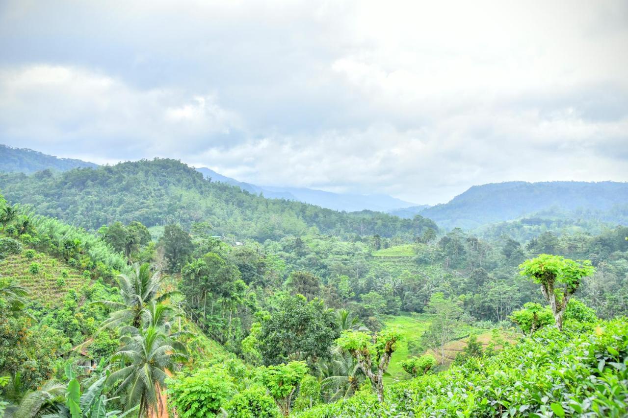 Rainforest Nature House Денияйя Экстерьер фото