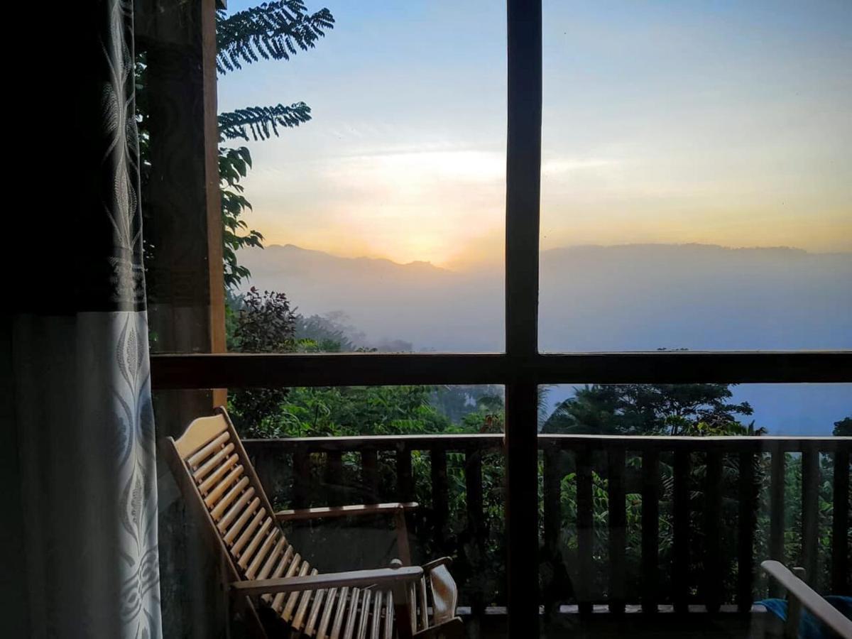 Rainforest Nature House Денияйя Экстерьер фото