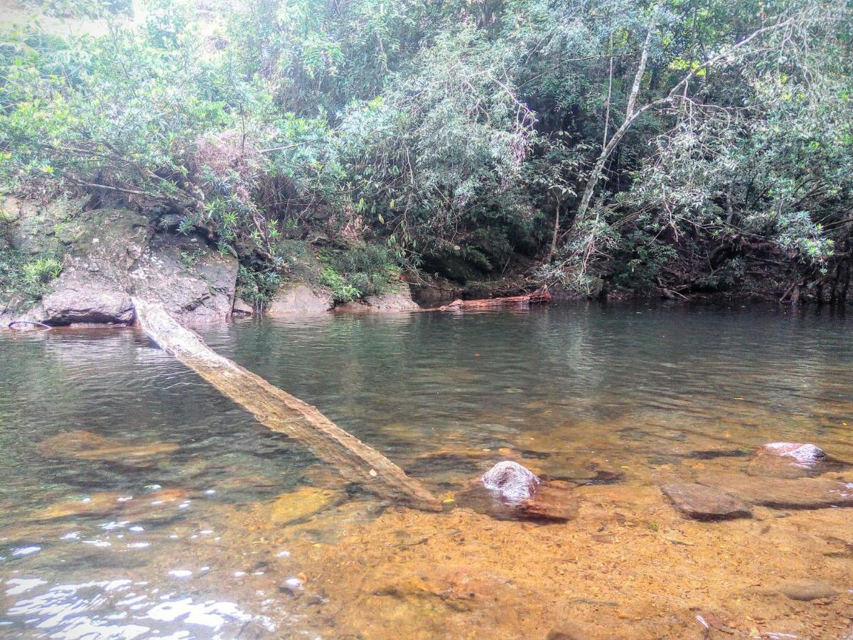 Rainforest Nature House Денияйя Экстерьер фото