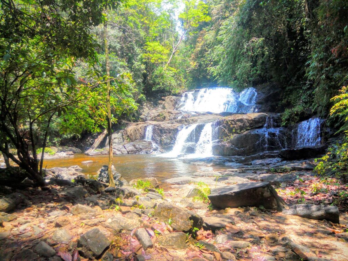 Rainforest Nature House Денияйя Экстерьер фото