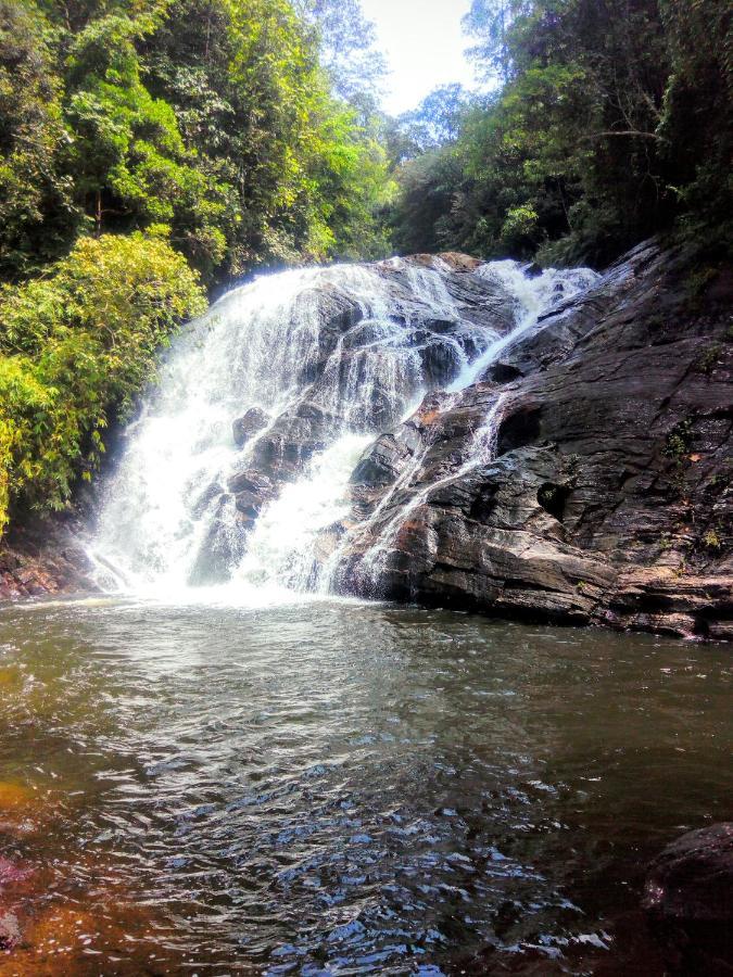 Rainforest Nature House Денияйя Экстерьер фото