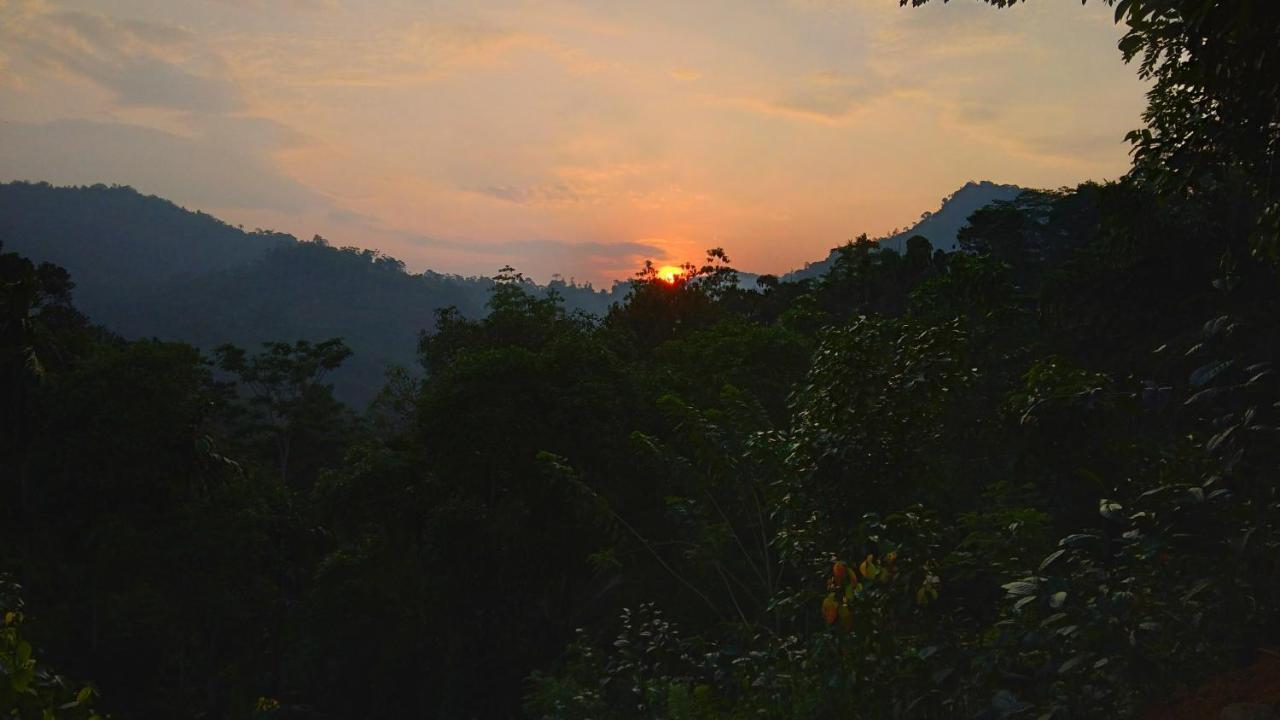 Rainforest Nature House Денияйя Экстерьер фото