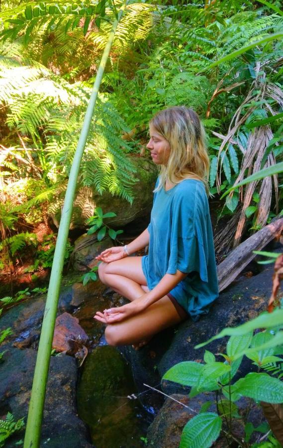 Rainforest Nature House Денияйя Экстерьер фото