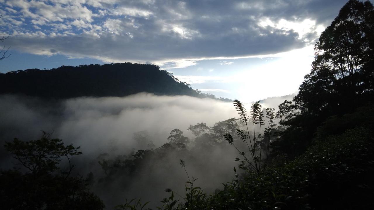 Rainforest Nature House Денияйя Экстерьер фото