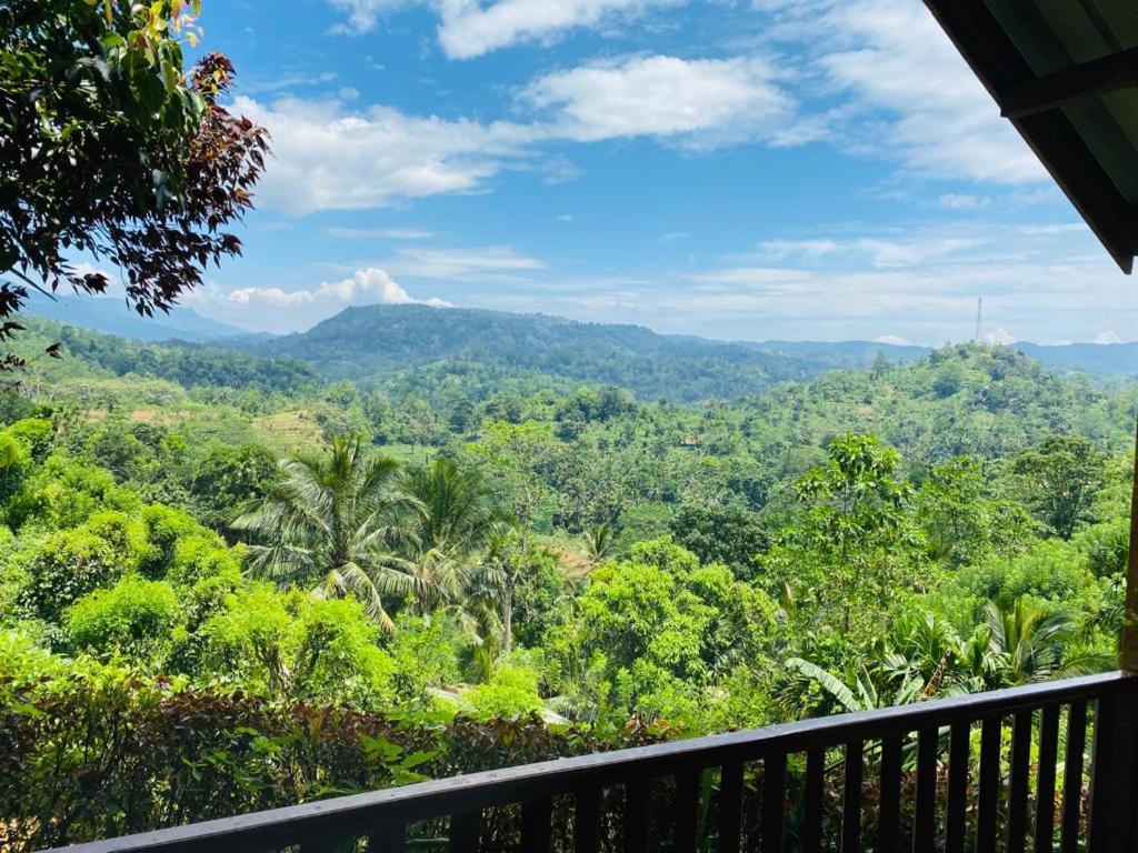 Rainforest Nature House Денияйя Экстерьер фото