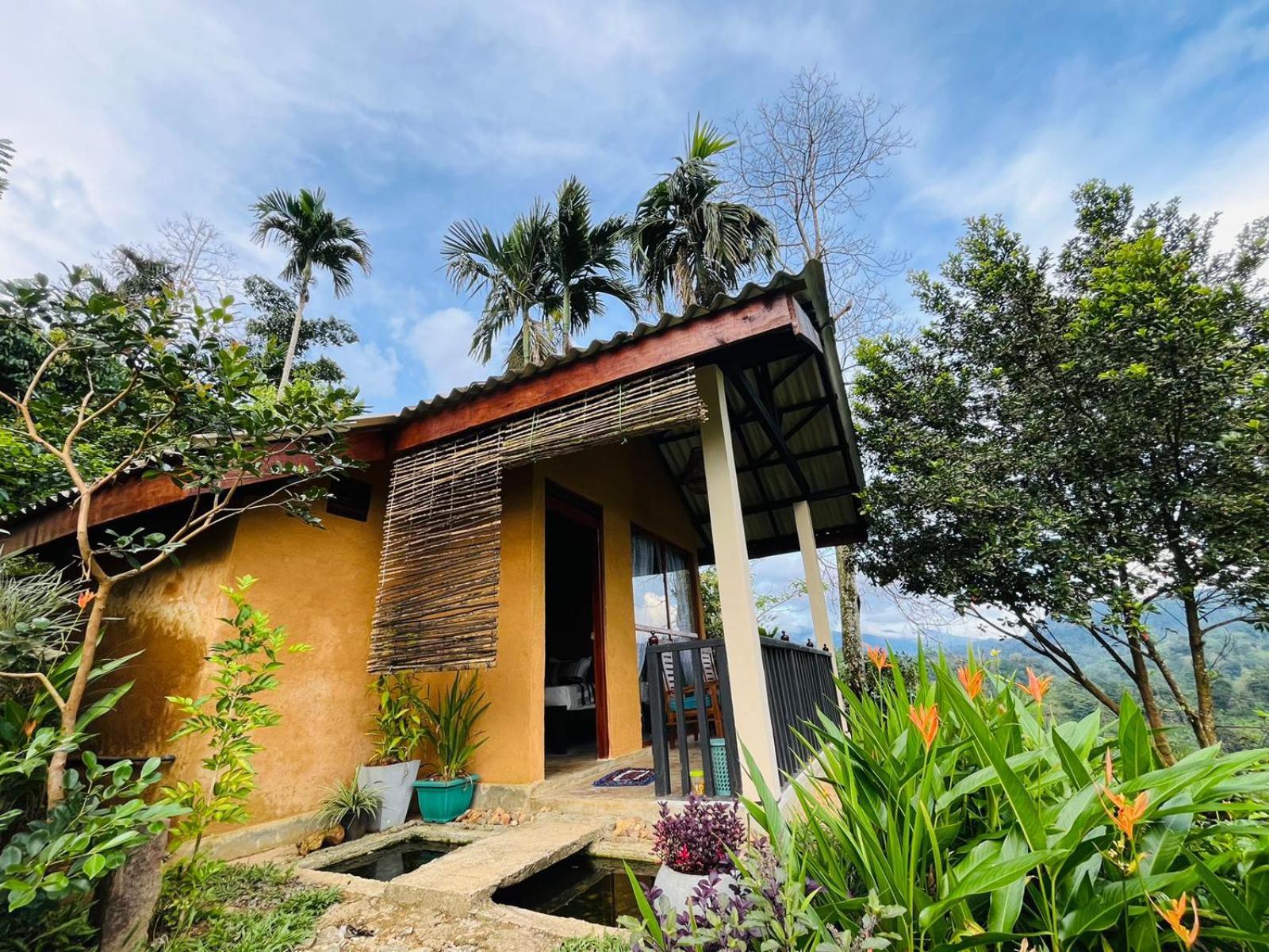 Rainforest Nature House Денияйя Номер фото